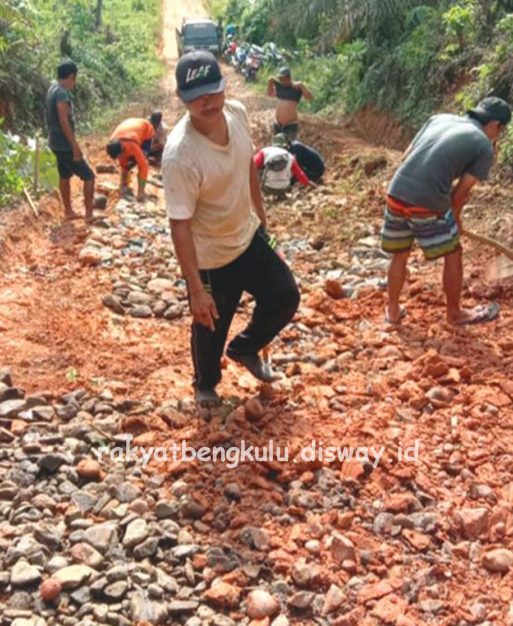 Tak Kunjung Ada Perhatian Warga Di Seluma Ini Perbaiki Jalan Sendiri