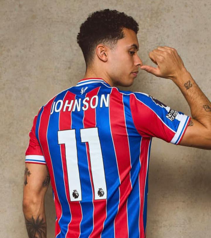 Diboyong dari Tottenham, Brennan Johnson Siap Menjadi Ikon Baru Crystal Palace