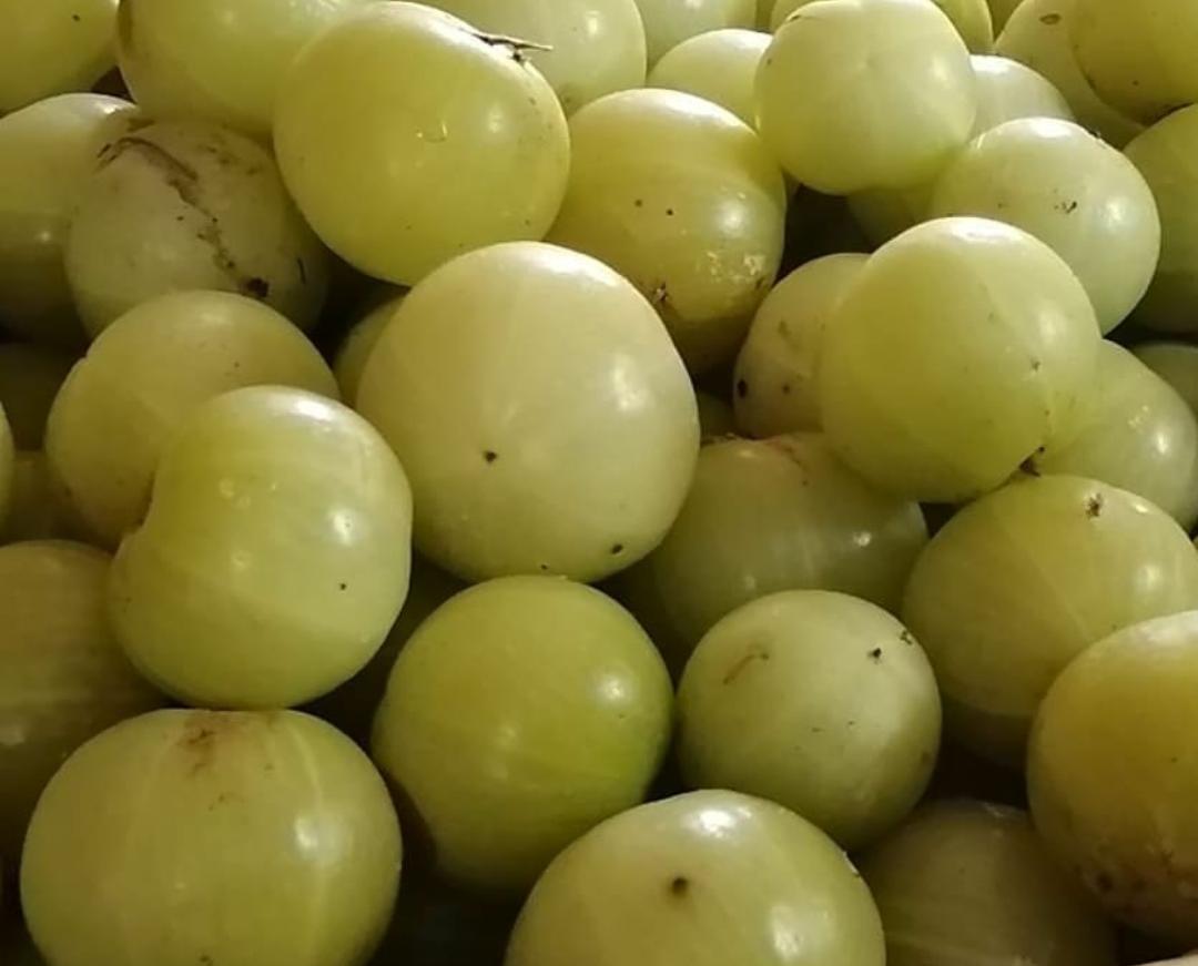 Jaga Kesehatan Jantung dengan Buah Malaka, Ini 5 Manfaatnya untuk Kesehatan