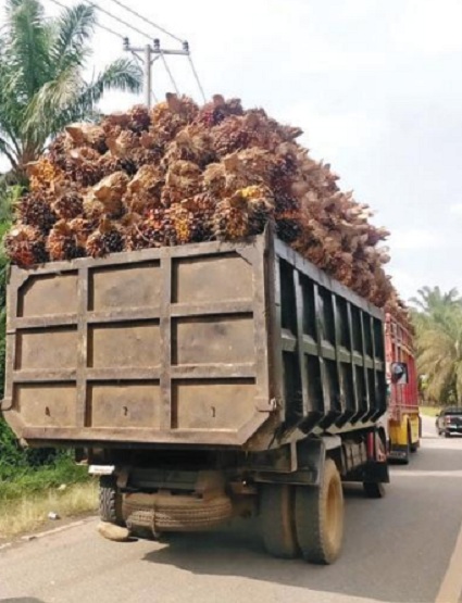 Indonesia Hentikan Dominasi Harga Minyak Sawit yang Ditetapkan Malaysia