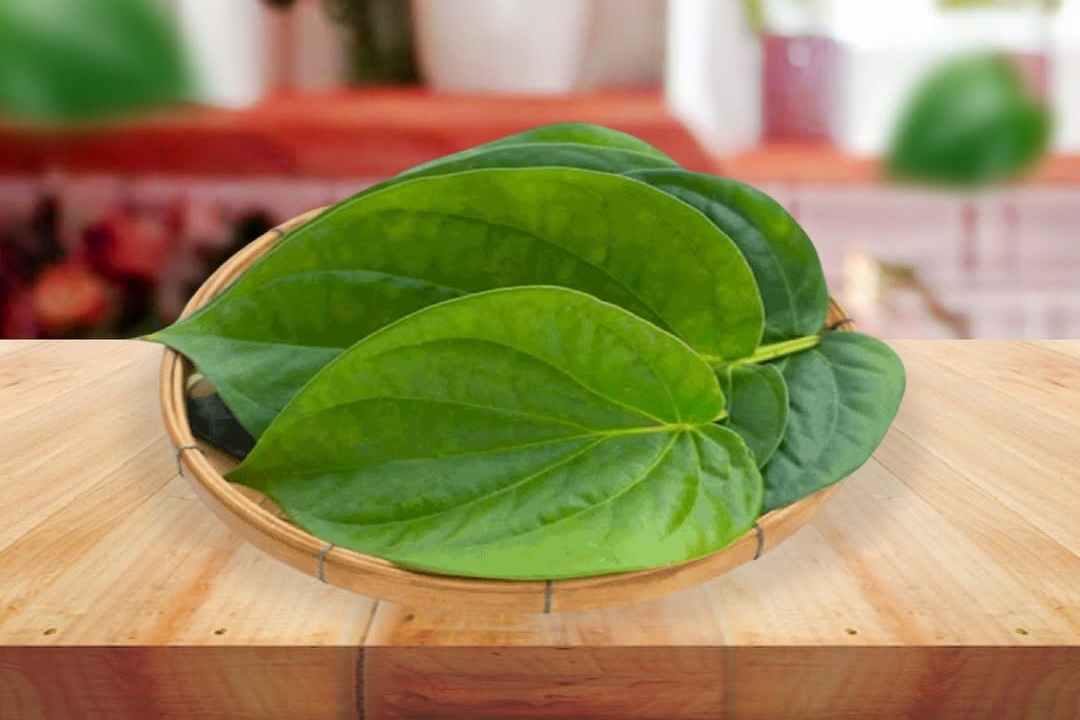 Rahasia Alami Menjaga Kesehatan Miss V, Dapat Mengatasi Keputihan dan Gatal