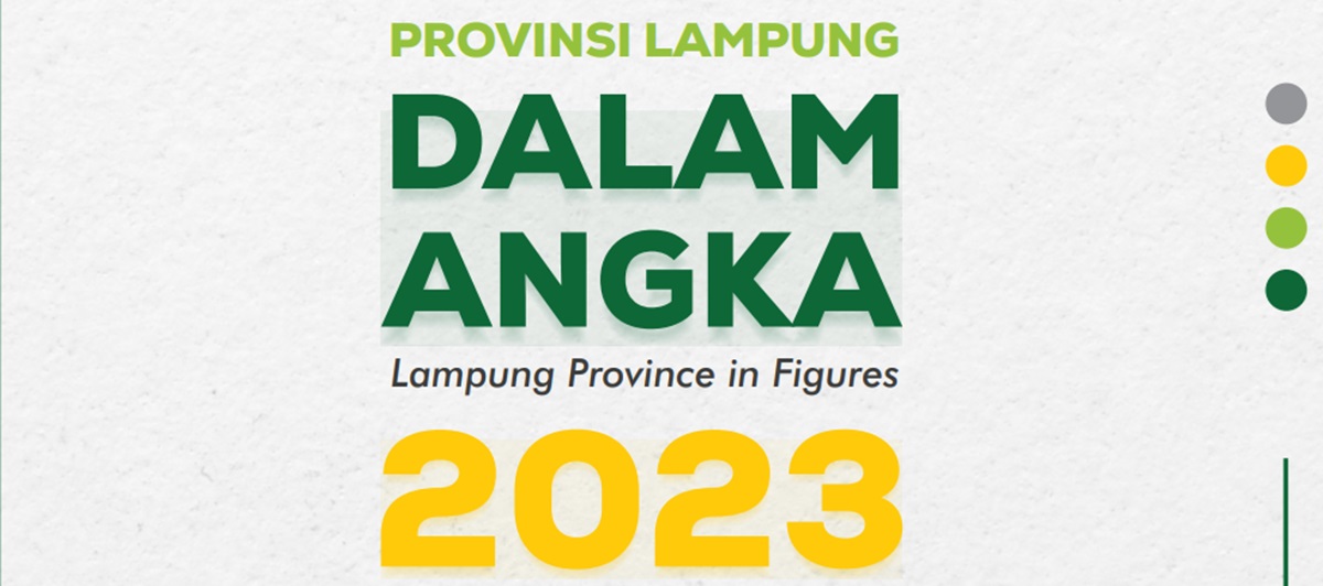 Alhamdulillah! Gaji PPPK Tahun 2024 Lampung 402 Miliar: Terbesar Pringsewu dan Tanggamus