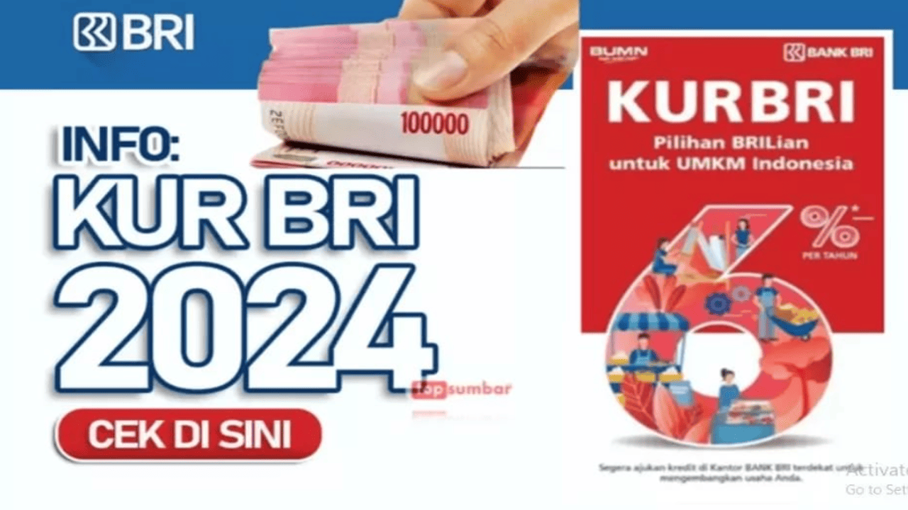 KUR BRI, Jadi 'Pahlawan' Permodalan UMKM 