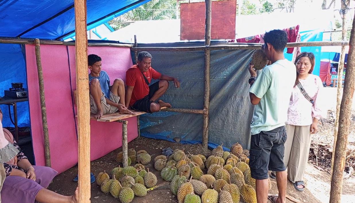 Jumlah Durian di Kedurang Menurun, Pedagang dan Petani Mengeluh Meski Harga Masih Terjangkau