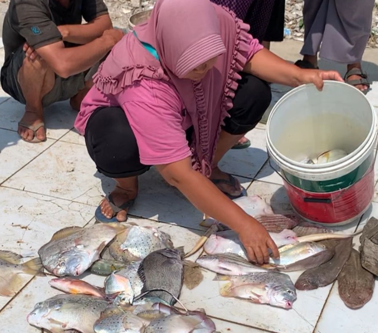  WOW ! Pedagang Ikan Keliling Masuk Usulan BPJS Ketenagakerjaan, Program Pemda Seluma, Berikut Jumlahnya