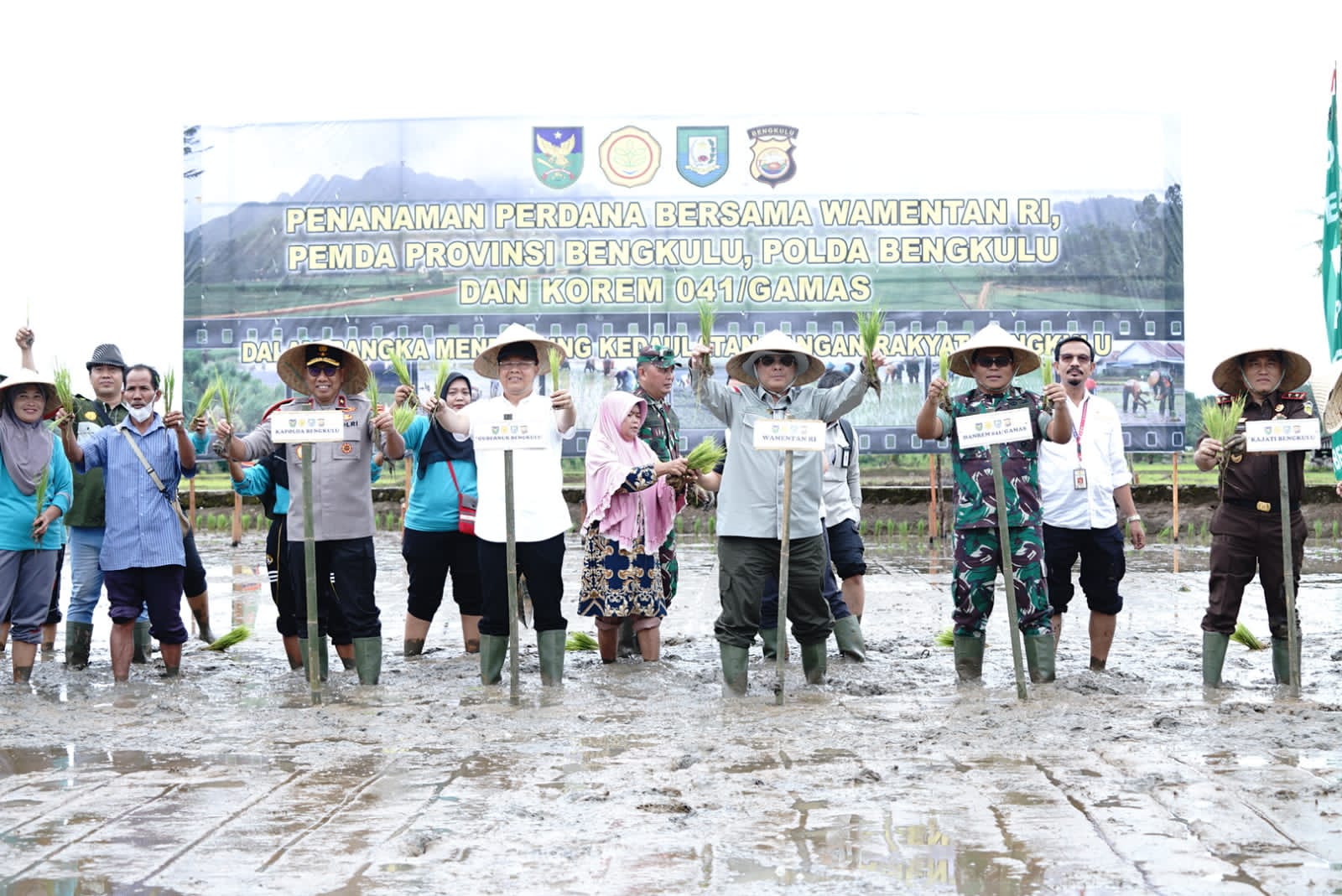 Kunjungi Bengkulu, Ini yang Dilakukan Wamentan Harvick Dorong Petani Tingkatkan Produksi