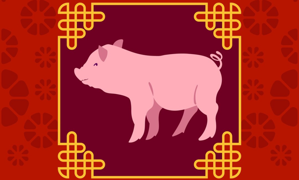 Horoskop Shio Babi Tahun 2025: Ramalan Bulanan di Tahun Ular Kayu