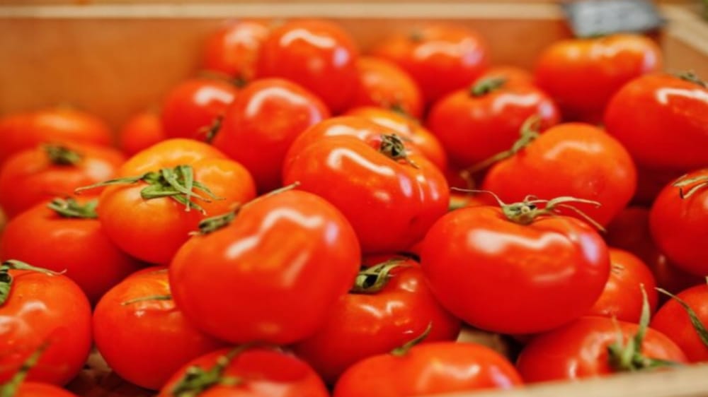 Tidak Hanya untuk Masakan, Buah Tomat Juga Berkhasiat untuk Kecantikan