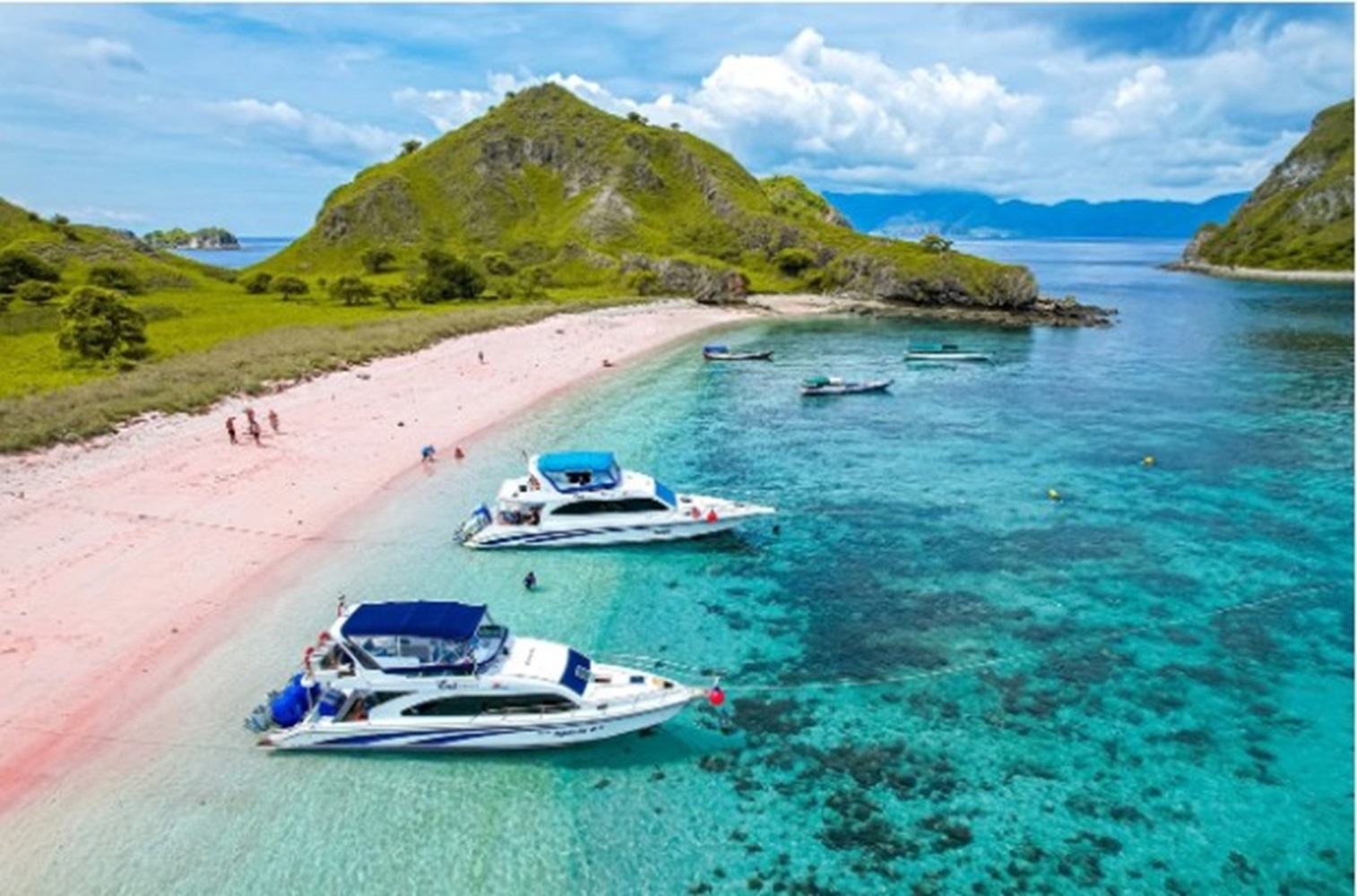 Masuk Salah Satu Pantai Pink Dunia, Pink Beach Labuhan Bajo Instagramable