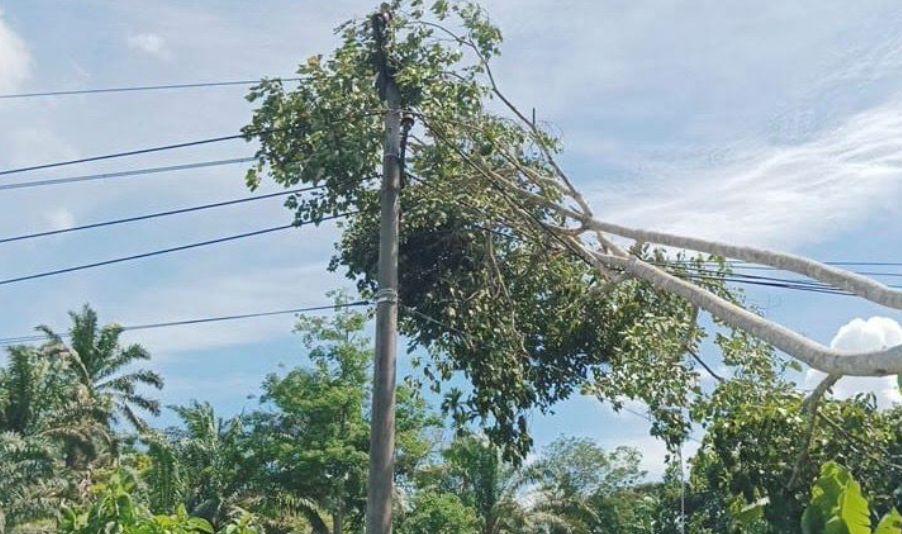 Pemadaman Listrik di Ulu Talo, Cuaca Ekstrem dan Tanam Tumbuh Jadi Penyebab Utama