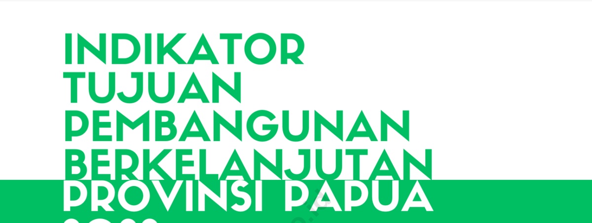 Selamat! Jatah BOK Puskesmas di Papua 132 Miliar: KB 31 Miliar