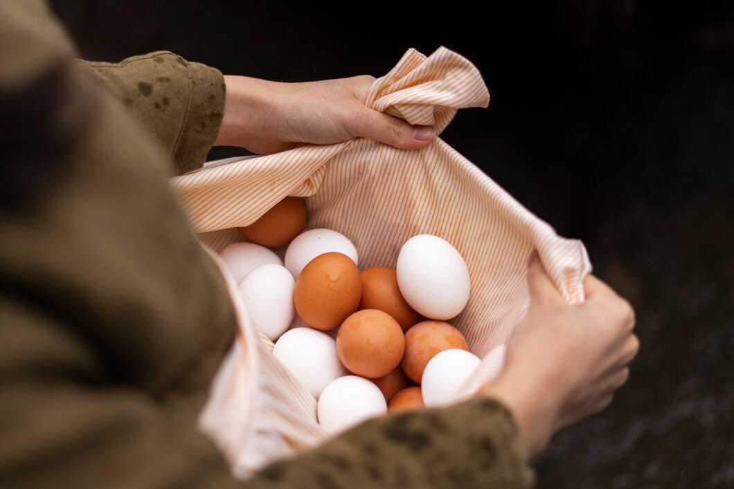 Telur Ayam Kampung VS Telur Ayam Negeri, Kenali Perbedaan dari Kedua Jenis Telur Ini