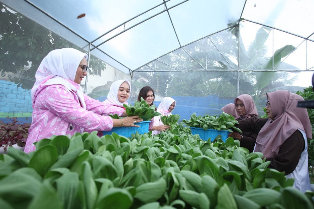 Didukung oleh BRI Peduli, Intip Kegiatan Bertani di Tengah Kota Medan