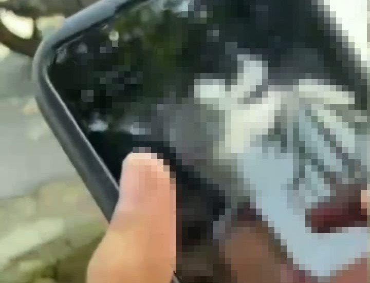 Polisi Selidiki Video Asusila Diduga Libatkan Pelajar di Rejang Lebong, Masyarakat Diminta Tak Sebarkan