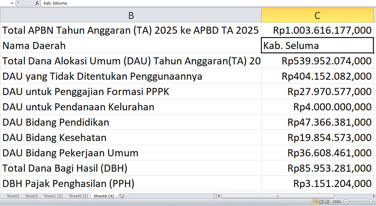 Dana Rp1 triliun dari APBN 2025 ke APBD Seluma: Berapa untuk Proyek Fisik?