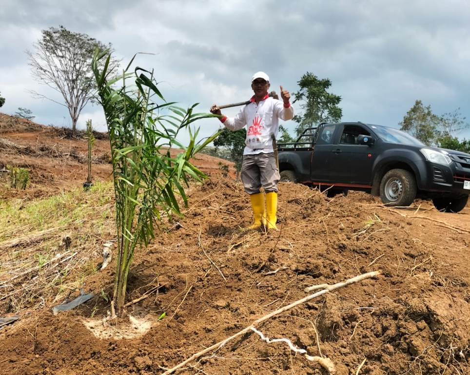 Rp1,1 Triliun Pungutan Dana Sawit Dialihkan untuk Kakau dan Kelapa, APKSI Bengkulu Berang