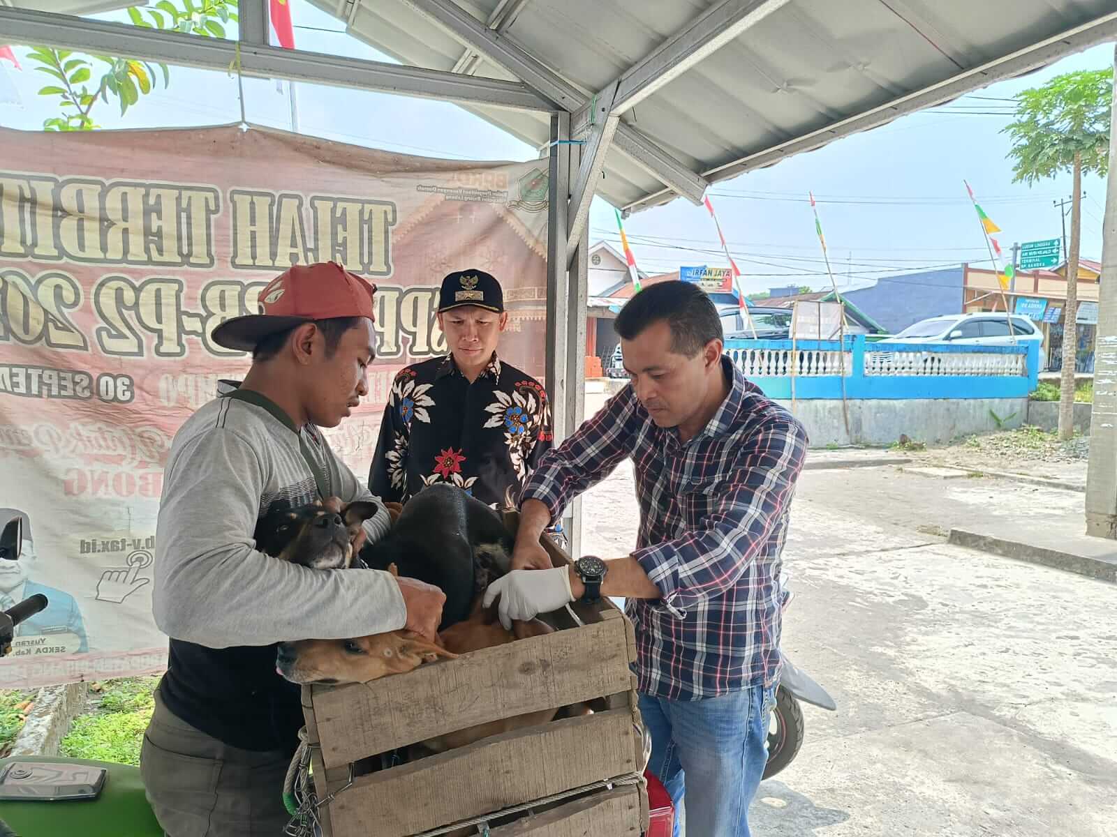 Populasi Hewan Penular Rabies (HPR) di Rejang Lebong Mencapai 35.000, 11.250 Ekor Telah Divaksinasi