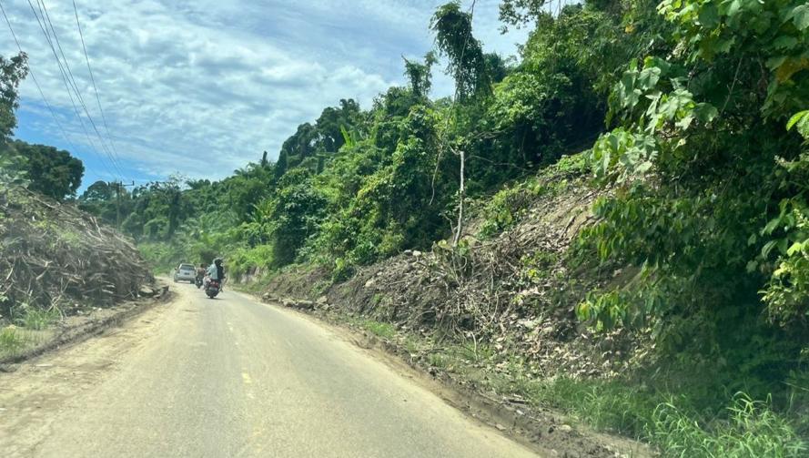 Cuaca Ekstrem Melanda Bengkulu Selatan, Waspadai Longsor dan Pohon Tumbang