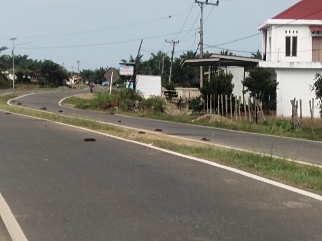 Minggu Ini, Satpol PP Turun Lapangan