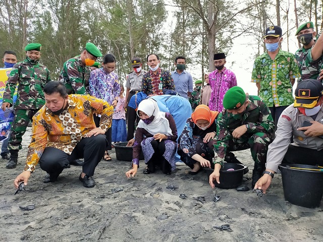 Perdana, Danrem Lepas Tukik Langka