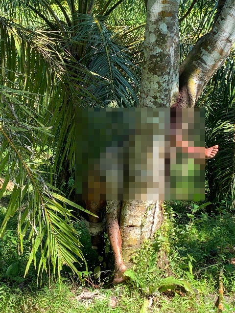 Hilang Satu Minggu, Mayat Perempuan Ditemukan di Pohon Nangka