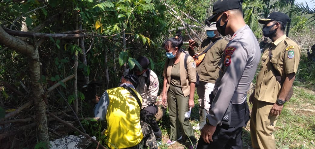 Evakuasi Harimau, BKSDA  Sudah Pasang Kerangkeng