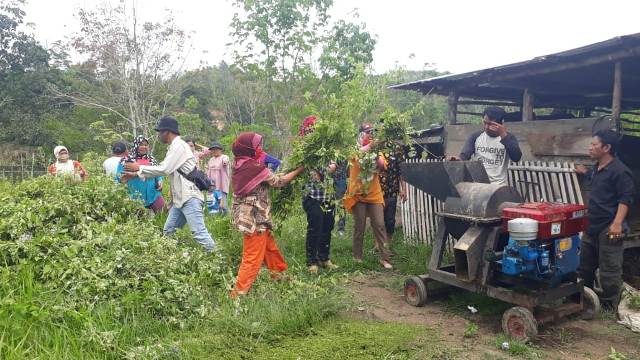 Cara Masyarakat Adat Rejang Hadapi Covid-19 untuk Amankan Pangan