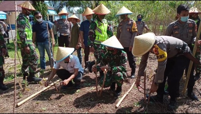 Kodim Berkebun Jagung