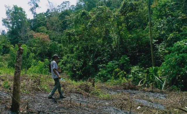 Tiga Titik Api  di Lahan Kebun