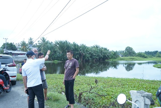 Dewan Desak Tertibkan Ternak