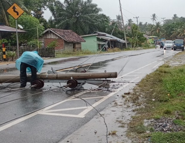 Tiang Listrik dan Pohon Bertumbang