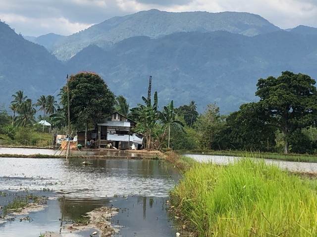 Imbangi Bantuan dengan Pelatihan