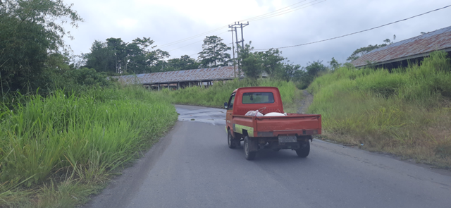 Jalan Provinsi  Dipenuhi Semak