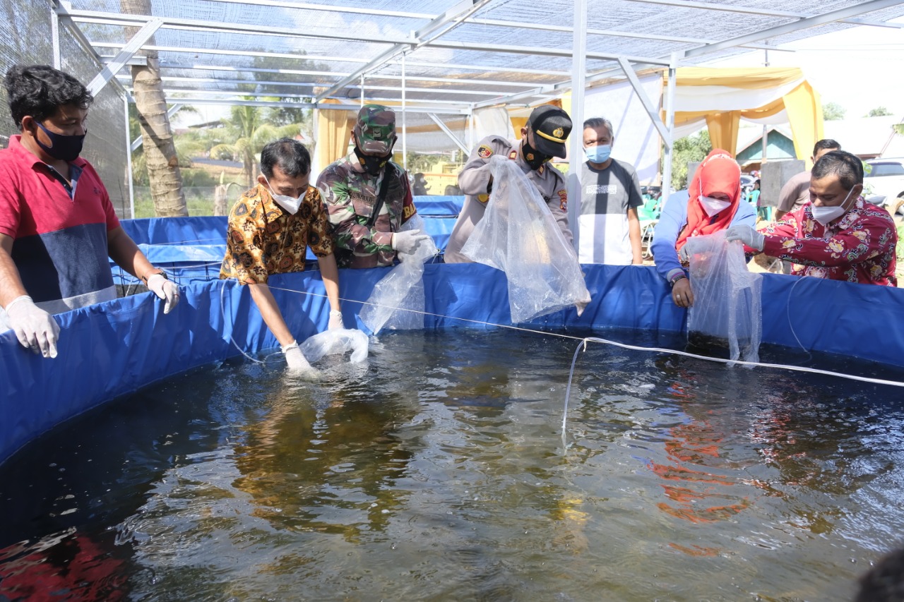 PPTTG 2020, Tebar Bibit Lele, Terapkan Budidaya dengan Sistem Bioflok