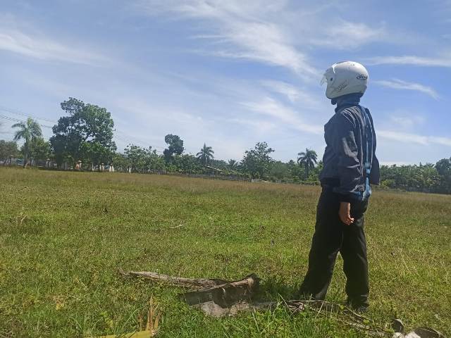 Pekarangan Kantor Bupati Sulit Ditanami