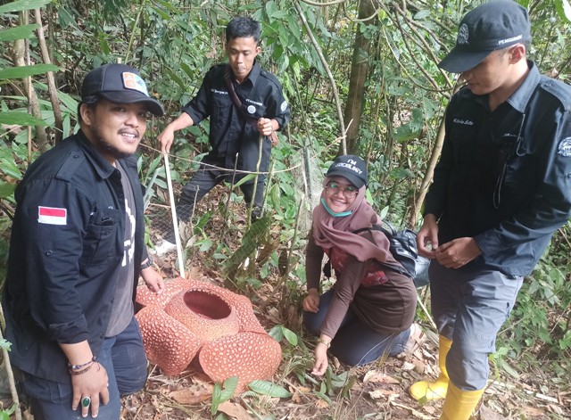 Taman Bunga Rafflesia Terbesar Di Bengkulu Selatan