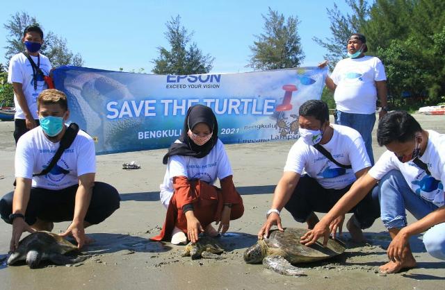 Peduli Lingkungan, Epson Lepas 3 Ekor Penyu dan 600 Tukik di Laut Bengkulu