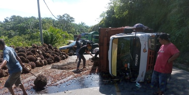 Truk Pengangkut TBS Terbalik di Seranjang