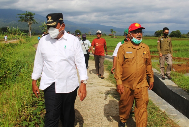 Koneksitas Lahan Sawah untuk Rute Sepeda