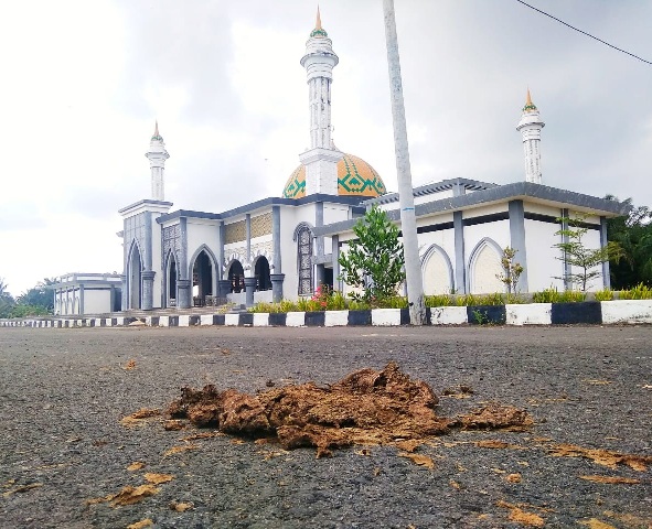 Masjid Agung Pun “Dikotori” Sapi