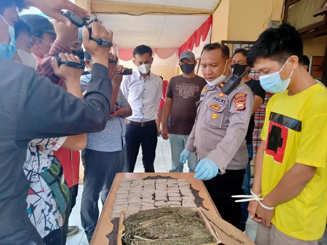 Polisi Amankan 2 Kilo Ganja, Tersangka Diciduk Saat Akan Bertransaksi di Lokasi Biliard