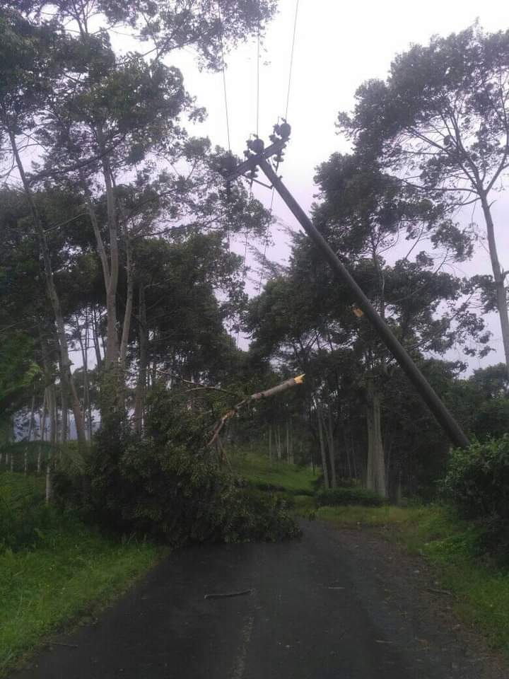 Angin Puting Beliung Landa Kabawetan, Tiang Listrik dan Pohon Tumbang