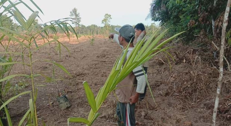 Tiga Ekor Gajah Liar Muncul di Areal Perkantoran Bupati Bikin Geger Warga