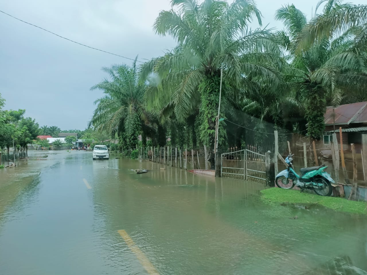 Ratusan Rumah di Mukomuko Terendam Banjir