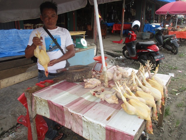 Harga Ayam Potong di Pasar Tradisional Bengkulu Semakin Mahal