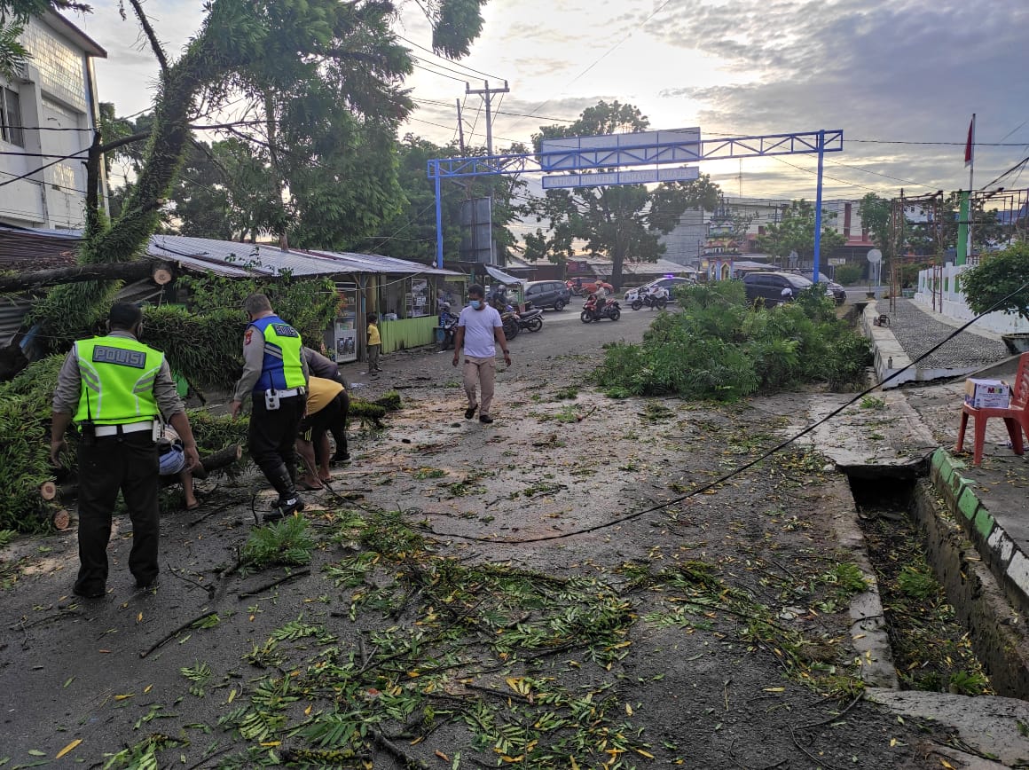 Hujan Disertai Angin Kencang, Pohon Tumbang Sempat Mengganggu Akses Jalan