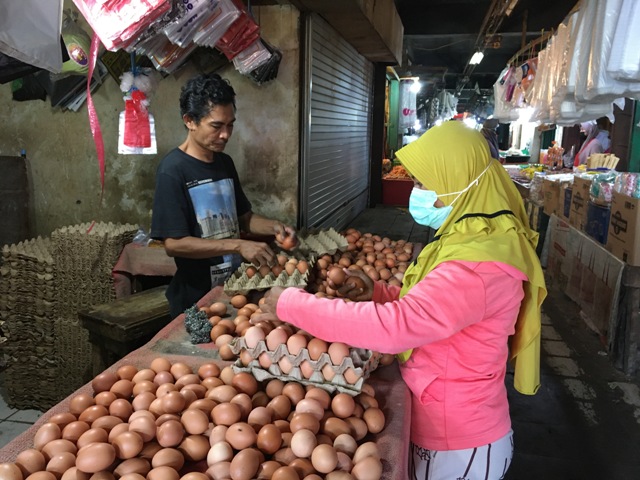 Harga Ayam dan Telur di Bengkulu Naik