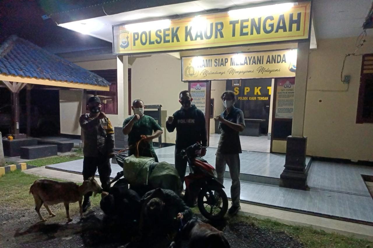 Maling Dua Ekor Kambing, Dua Pemuda Diamankan