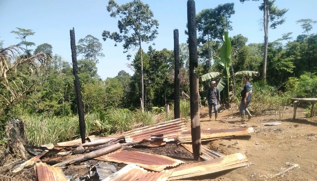 Enam Pondok Kebun di Kawasan HPT Sungai Payang Terbakar, Polisi Turun Cek Lokasi