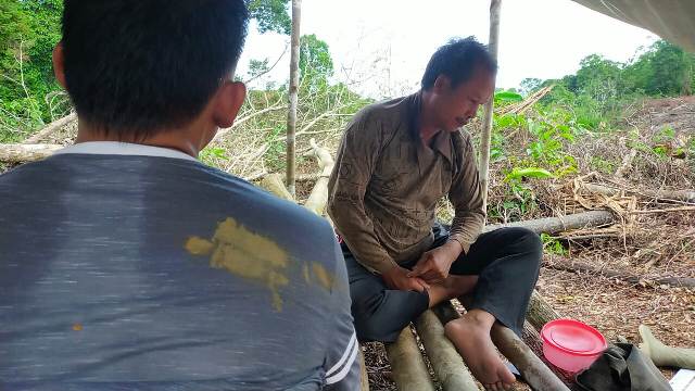 Tertangkap Tangan Tebang Pohon, Warga Kampung Melayu Diamankan